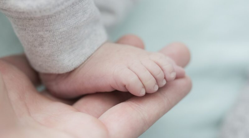 Baby Wearing Gray Bottoms on Person Hand